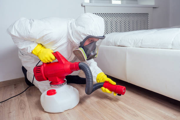 Best Affordable Pest Control Services  in Methuen Town, MA