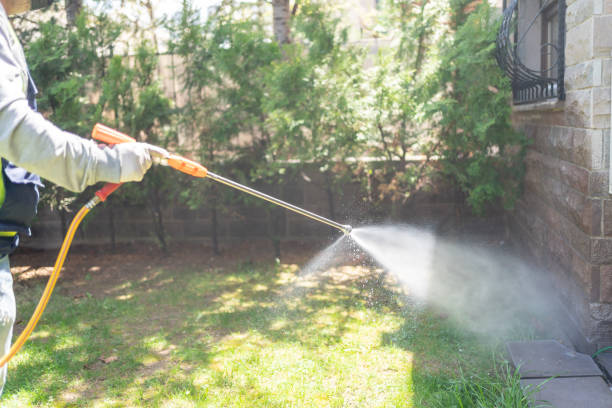Trusted Methuen Town, MA Pest Control Experts